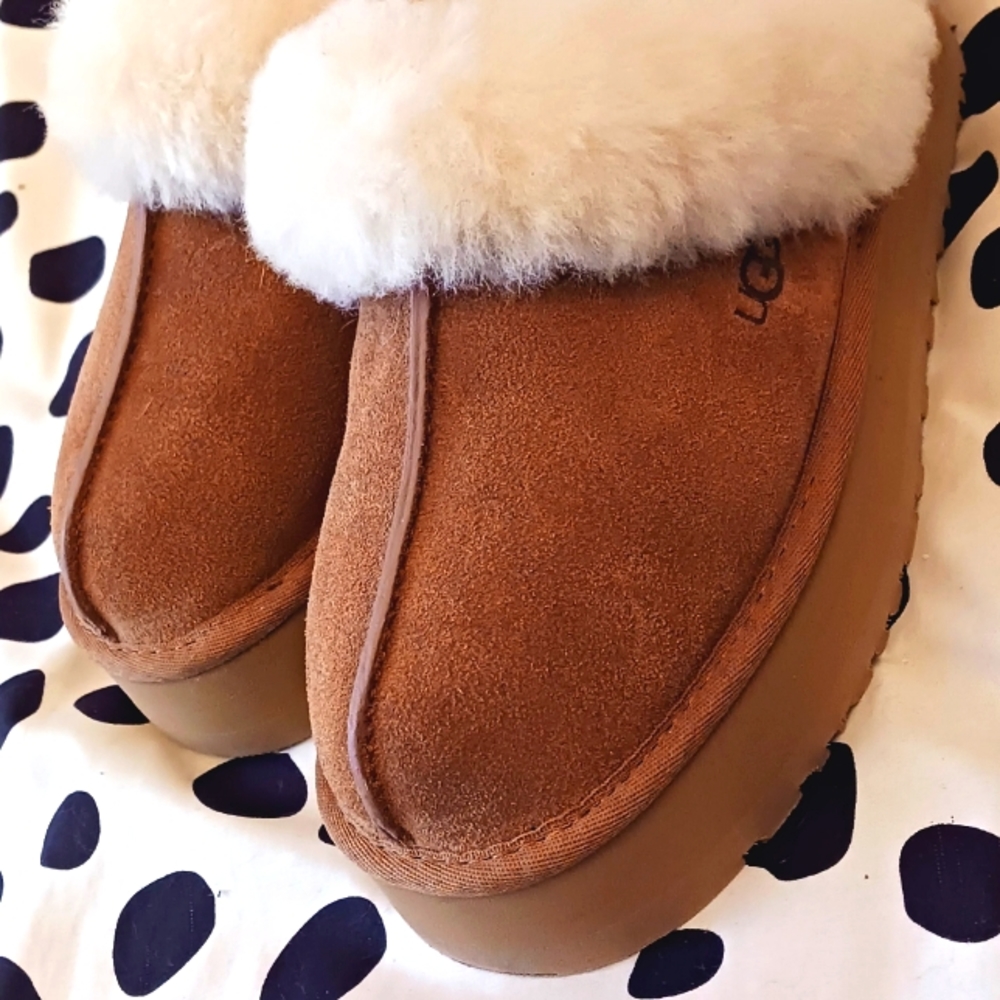 Ugg disquette in chestnut